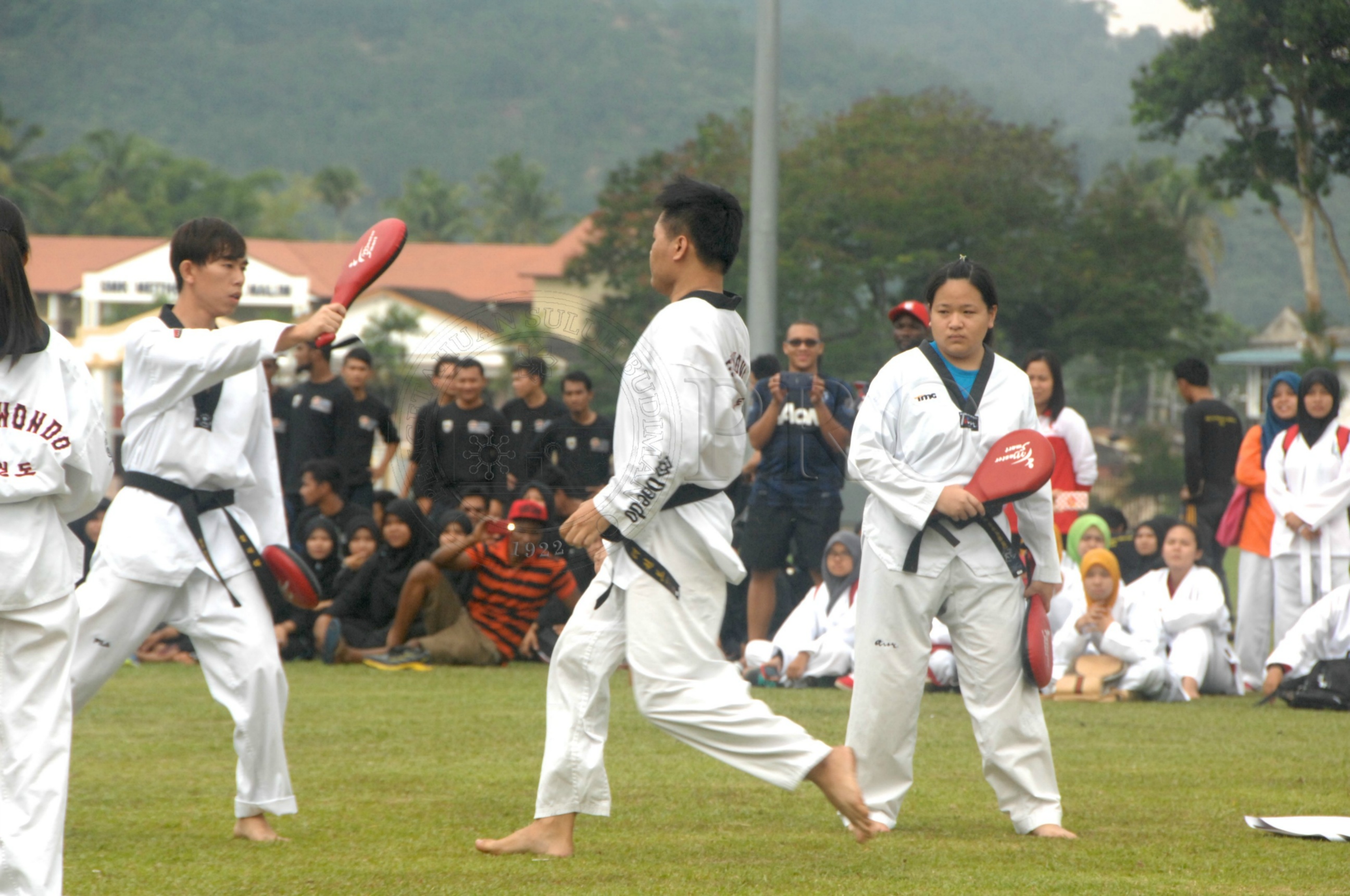 PRO 14 43 KKO IDA 0998